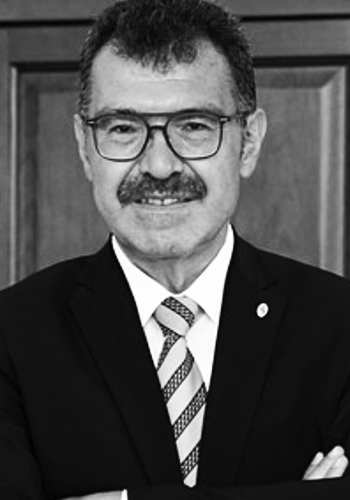Prof. Dr. Hasan Mandal